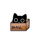 【動く】(◉-◉)きょむねこノアスタンプ（個別スタンプ：22）