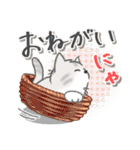 ちびねっこ☆ず～っと使えるあいさつ（個別スタンプ：11）