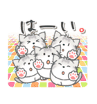 ちびねっこ☆ず～っと使えるあいさつ（個別スタンプ：18）