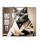 【剣道ネコちゃん】（個別スタンプ：2）