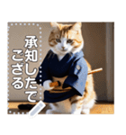 【剣道ネコちゃん】（個別スタンプ：11）