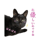 黒猫トムチ9（個別スタンプ：4）