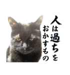 黒猫トムチ9（個別スタンプ：6）