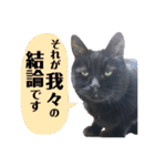 黒猫トムチ9（個別スタンプ：8）