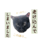 黒猫トムチ9（個別スタンプ：14）