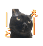 黒猫トムチ9（個別スタンプ：15）