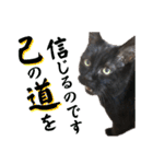 黒猫トムチ9（個別スタンプ：21）