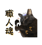黒猫トムチ9（個別スタンプ：23）