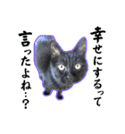 黒猫トムチ9（個別スタンプ：26）