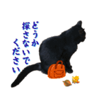 黒猫トムチ9（個別スタンプ：28）