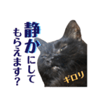 黒猫トムチ9（個別スタンプ：29）