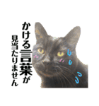 黒猫トムチ9（個別スタンプ：32）