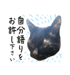 黒猫トムチ9（個別スタンプ：33）