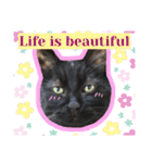 黒猫トムチ9（個別スタンプ：36）