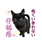 黒猫トムチ9（個別スタンプ：38）