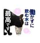 黒猫トムチ9（個別スタンプ：39）