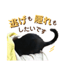 黒猫トムチ9（個別スタンプ：40）