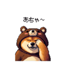 クマさんな太っちょ柴犬 茶色め（個別スタンプ：1）