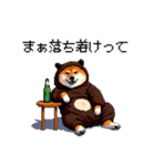 クマさんな太っちょ柴犬 茶色め（個別スタンプ：3）
