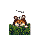 クマさんな太っちょ柴犬 茶色め（個別スタンプ：5）