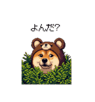 クマさんな太っちょ柴犬 茶色め（個別スタンプ：6）