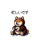 クマさんな太っちょ柴犬 茶色め（個別スタンプ：12）