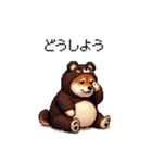 クマさんな太っちょ柴犬 茶色め（個別スタンプ：15）