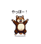 クマさんな太っちょ柴犬 茶色め（個別スタンプ：17）