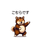 クマさんな太っちょ柴犬 茶色め（個別スタンプ：19）
