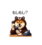 クマさんな太っちょ柴犬 茶色め（個別スタンプ：20）