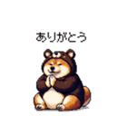 クマさんな太っちょ柴犬 茶色め（個別スタンプ：23）
