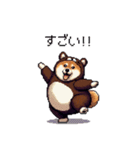クマさんな太っちょ柴犬 茶色め（個別スタンプ：24）