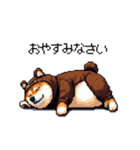 クマさんな太っちょ柴犬 茶色め（個別スタンプ：28）