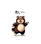 クマさんな太っちょ柴犬 茶色め（個別スタンプ：29）