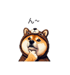 クマさんな太っちょ柴犬 茶色め（個別スタンプ：33）
