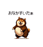クマさんな太っちょ柴犬 茶色め（個別スタンプ：35）