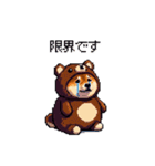 クマさんな太っちょ柴犬 茶色め（個別スタンプ：40）