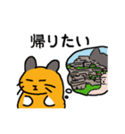 ビスカッチャ＆ビスカーチャン（個別スタンプ：11）