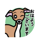【レッド3】1年中使えるイタグレのスタンプ（個別スタンプ：1）