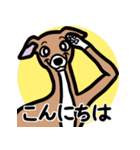 【レッド3】1年中使えるイタグレのスタンプ（個別スタンプ：2）