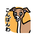 【レッド3】1年中使えるイタグレのスタンプ（個別スタンプ：3）
