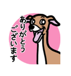 【レッド3】1年中使えるイタグレのスタンプ（個別スタンプ：5）