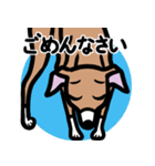 【レッド3】1年中使えるイタグレのスタンプ（個別スタンプ：7）