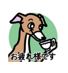 【レッド3】1年中使えるイタグレのスタンプ（個別スタンプ：8）