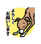 【レッド3】1年中使えるイタグレのスタンプ（個別スタンプ：9）