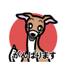 【レッド3】1年中使えるイタグレのスタンプ（個別スタンプ：11）