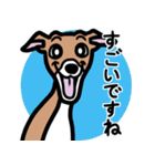 【レッド3】1年中使えるイタグレのスタンプ（個別スタンプ：14）