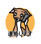 【レッド3】1年中使えるイタグレのスタンプ（個別スタンプ：24）