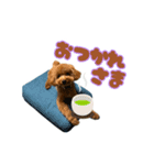 今日もあむちゃん①（個別スタンプ：2）