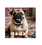 パグは感情表現豊か（個別スタンプ：1）